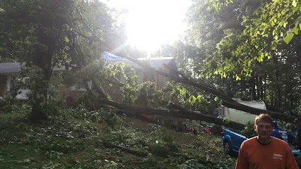 Modern Tree Surgery INC photo 1