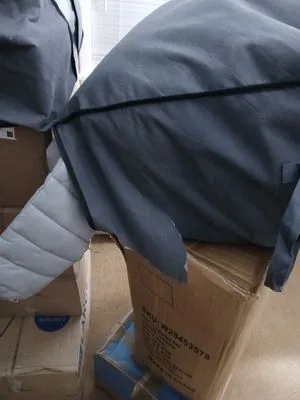 Alma Moving INC