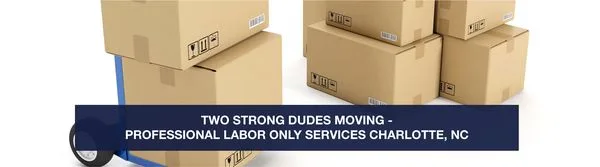 Two Strong Dudes Moving Company LLC